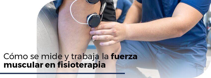 Cómo se mide y trabaja la fuerza muscular en fisioterapia